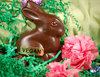 Organic_fair_trade_vegan_chocolate_sitting_bunny-thumb