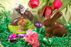 Organic_fair_trade_milk_chocolate_sitting_bunny-thumb